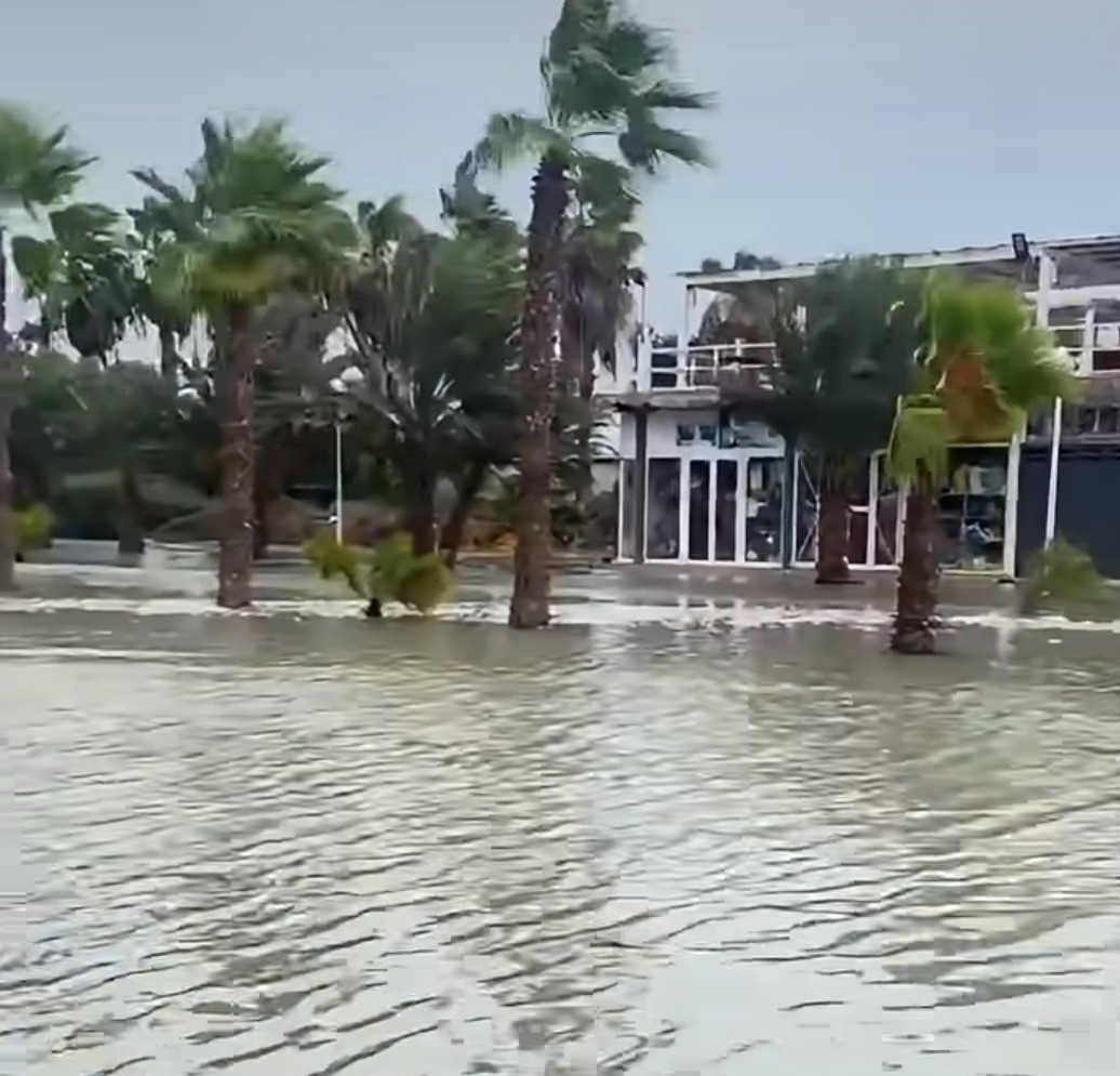 Rue inondée bordée de palmiers à Santa Maria pendant la tempête Gonzalo.